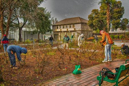 UC Master Gardener in Action 5