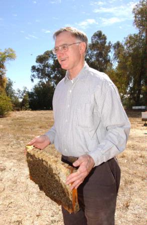 Eric Mussen with frame of honey bees