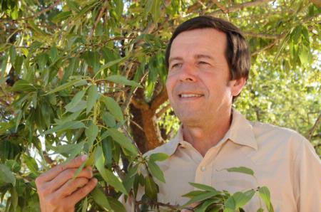 Frank Zalom and almond tree