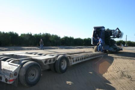 DSE mechanical olive harvester, preharvest unloading, Central Valley, California 2007