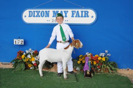 Supreme Grand Champion Goat