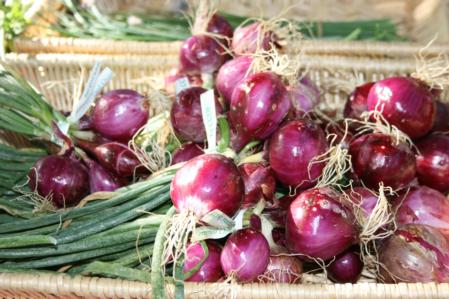 Organic onions at farmers market
