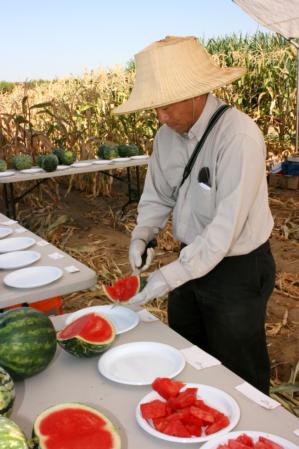 Yang cutting melon samples