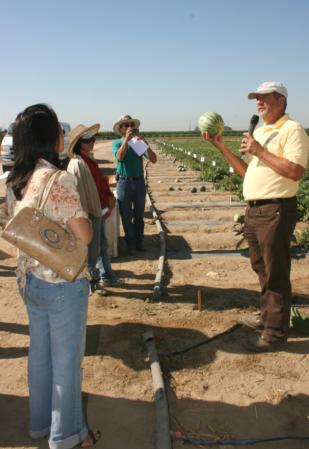 Molinar field presentation on mini, seedless watermelons