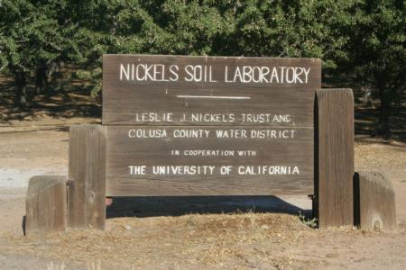 Experimental Olive Harvest: Trials were conducted at Nickels Soil Laboratory, Arbuckle, CA