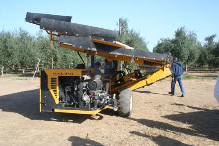 Experimental Olive Harvest: An Orchard Machine Company harvester, provided by Don Mayo of OMC