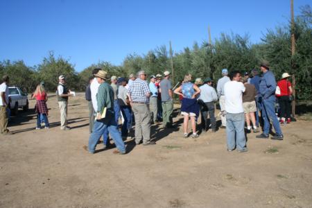 Field Day at Nickels: Attendees gather