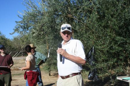 Field Day at Nickels: Dennis Burreson, of Musco olive processors, and olive grower