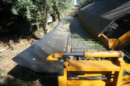 Field Day at Nickels: Coe harvester demonstration, Coe Orchard Equipment, Sutter Co.