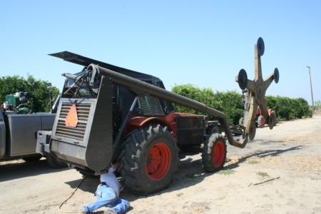 Mechanical olive pruning: Bobby of Laux Management attaches arm with rotating saw discs, and prepares machine for operation