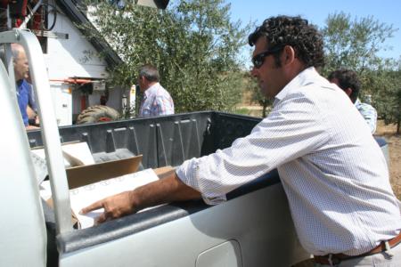 Experimental olive harvest: Loading samples