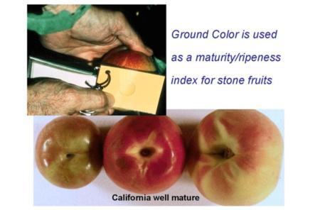 Ground Color Index