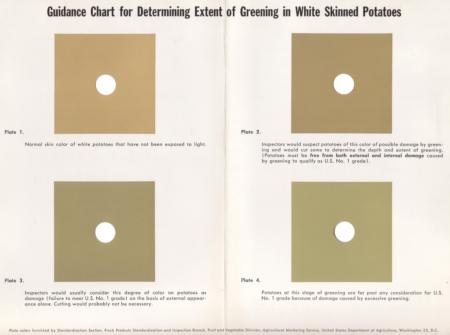 USDA Potato Greening Color Chart