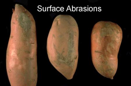 Surface Abrasions