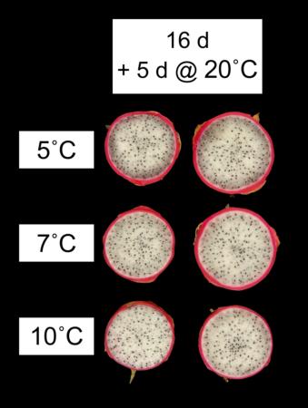 Temperature Management