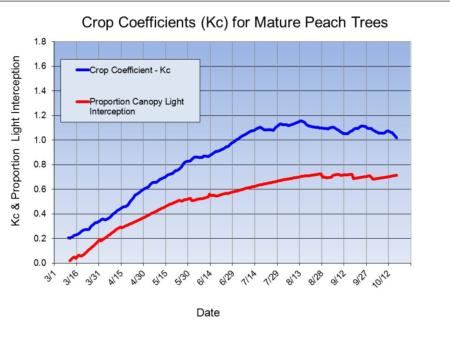 Crop coefficients (Kc) for mature peach trees derived from O'Henry and Crimson Lady trees planted in the Kearney weighing lysimeter.
