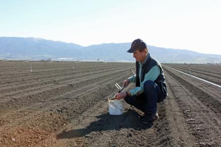 Richard Smith, UC Cooperative Extension advisor in Monterey County, sampling soil for nitrogen.itrogen