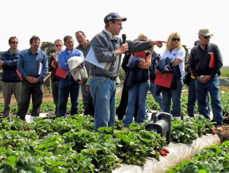 Mark Bolda, UC Cooperative Extension advisor in Santa Cruz County, addresses growers at a field meeting.