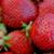 Close-up of ripe strawberries