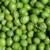 Experimental olive harvest: Close up: sample from the truncated chute at low head speed