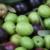 Erick Neilsen Enterprises trunk-shaking harvester in olive orchard: harvested olives in bin