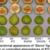 Temperature and CA Effects on Sierra Figs