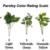 Parsley Color Rating Scale