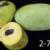 Pawpaw genotype #2-7