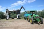 MacTeq 'Colossus' olive harvester loading field bins, Argentina 2008