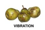 Vibration Damage (2)