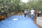 Trunk-shaking pistachio harvester trials:  Dr. Uriel Rosa appreciates this innovation to shield the video equipment