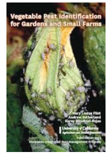 Vegetable Pest Identification for Gardens and Small Farms