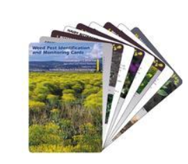 Weed Pest Identification and Monitoring Cards