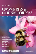 Common California Bee Cards
