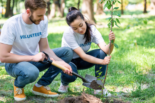 couple-of-volunteers-planting-new-tree-with-shovel