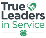 Call-Out-Logo-True-Leaders-in-Service-transparent