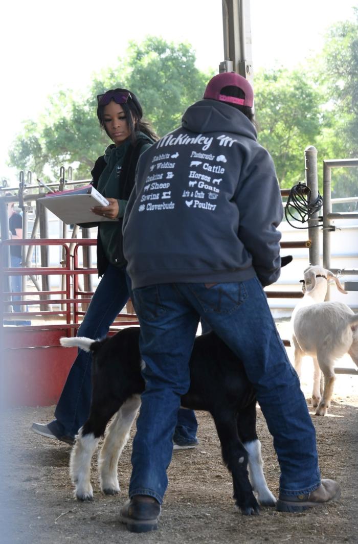 LA 2023 goat showmanship w.judge (2)