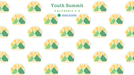 Youth Summit Background 1