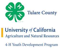 TC 4-H Logo