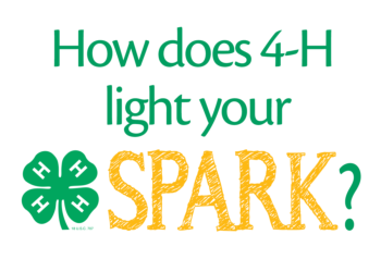 4-H Light SPARK