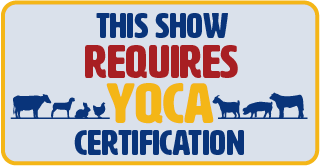 This Show Requires YQCA Crtification badge