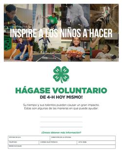 Volunteer Flyer-Spanish_ Collage