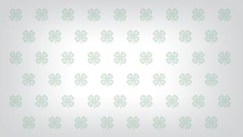 Zoom background - green clovers on white