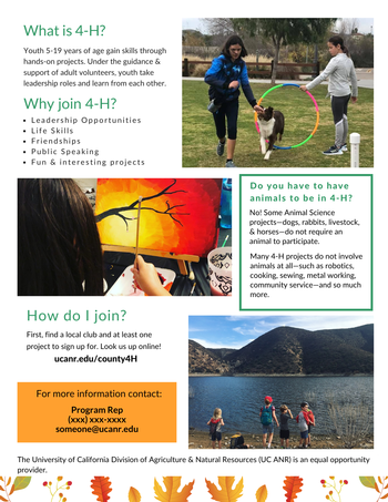 Fall for 4-H Join flyer Side 2