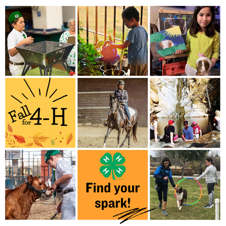 Why Join 4-H social media post