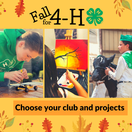Fall for 4-H Choose Your Project set