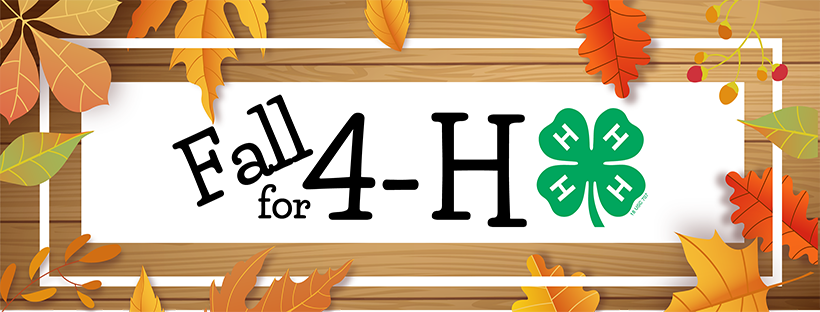 Fall for 4-H FB cover photo