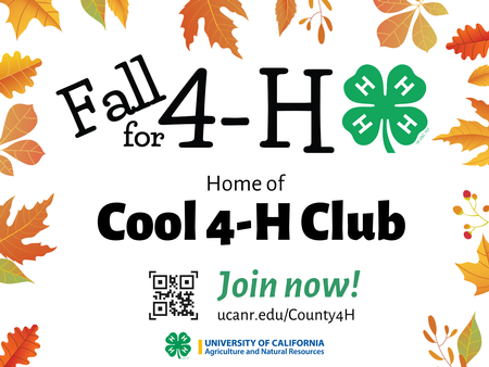 Fall for 4-H Yard Sign #2