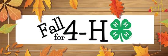 Fall for 4-H 4x2 banner