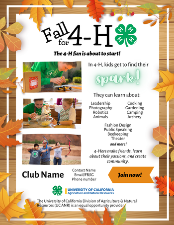 Fall for 4-H - Fun Flyer 1